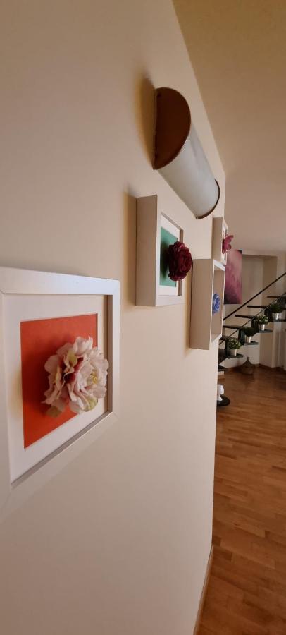 Leonardo Home Caserte Extérieur photo